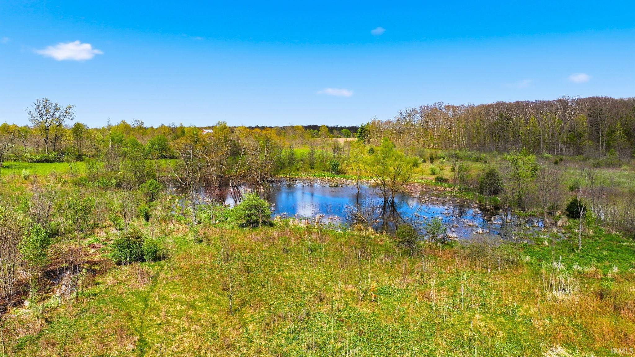0 Hollopeter Road Leo, IN 46765 - Photo 4 of 25