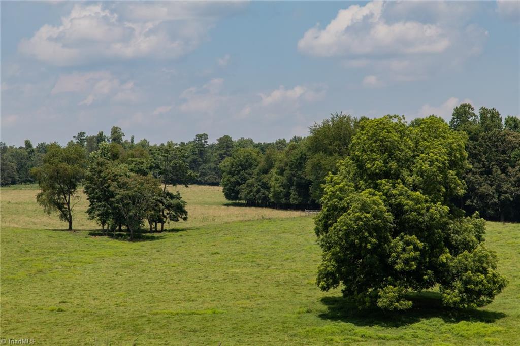 2546 Pleasant Ridge Road State Road, NC 28676 - Photo 11 of 50 Gallery Image 11