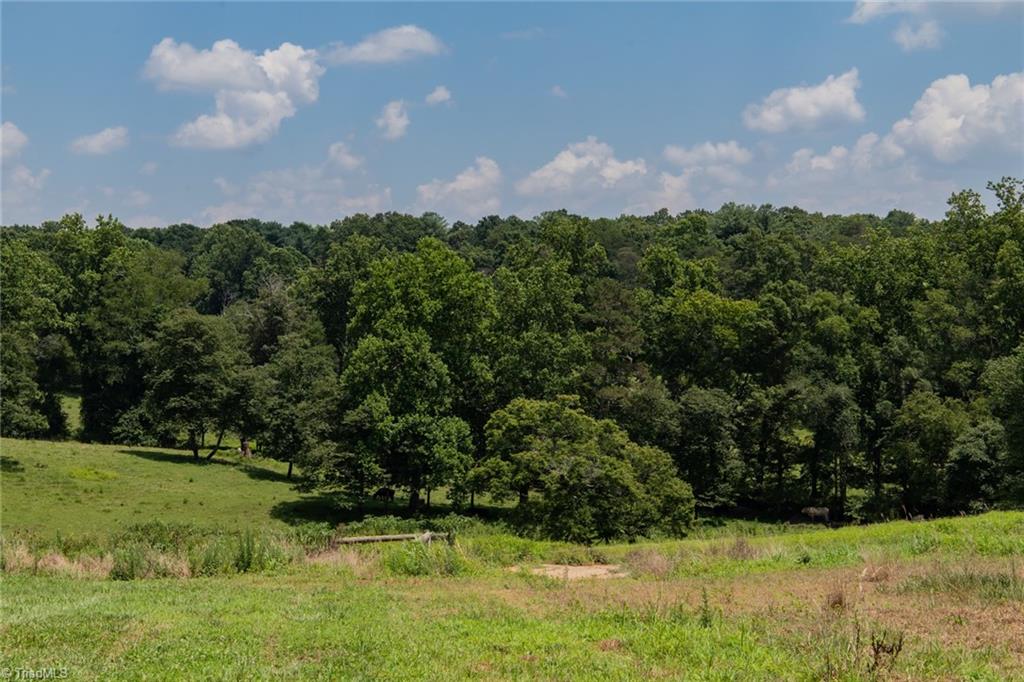 2546 Pleasant Ridge Road State Road, NC 28676 - Photo 10 of 50 Gallery Image 10