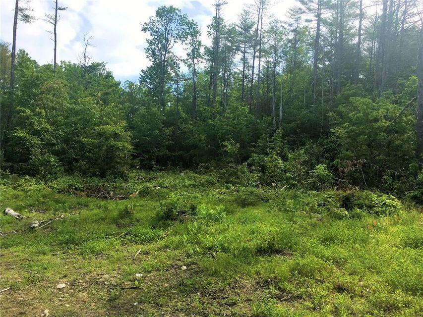 Tbd Kezar Mountain Road Parsonsfield, ME 04047 - Photo 7 of 19 20180818021406744897000000-o