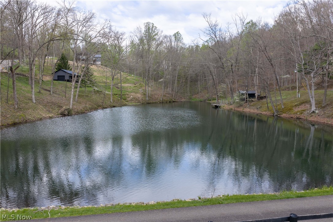 4073 Metzger Hill Road Southwest Stone Creek, OH 43840 - Photo 34 of 50