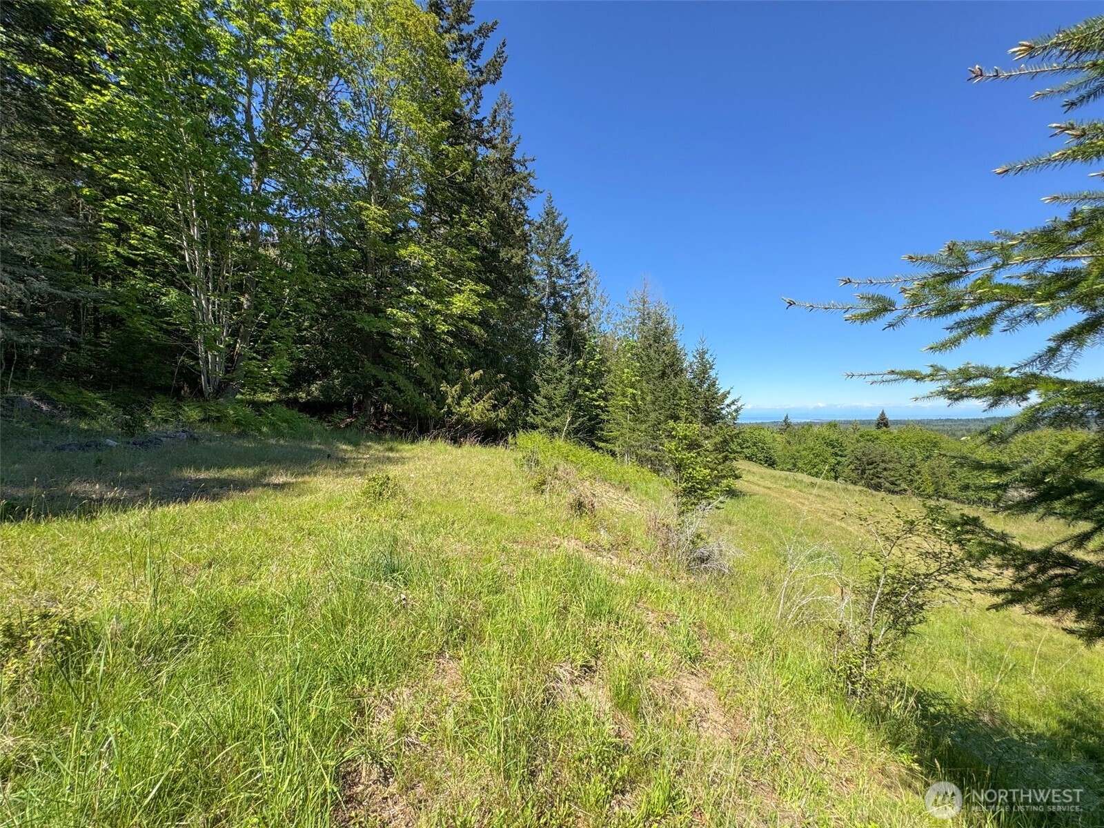 9999 Kruse Road Port Angeles, WA 98362 - Photo 24 of 39