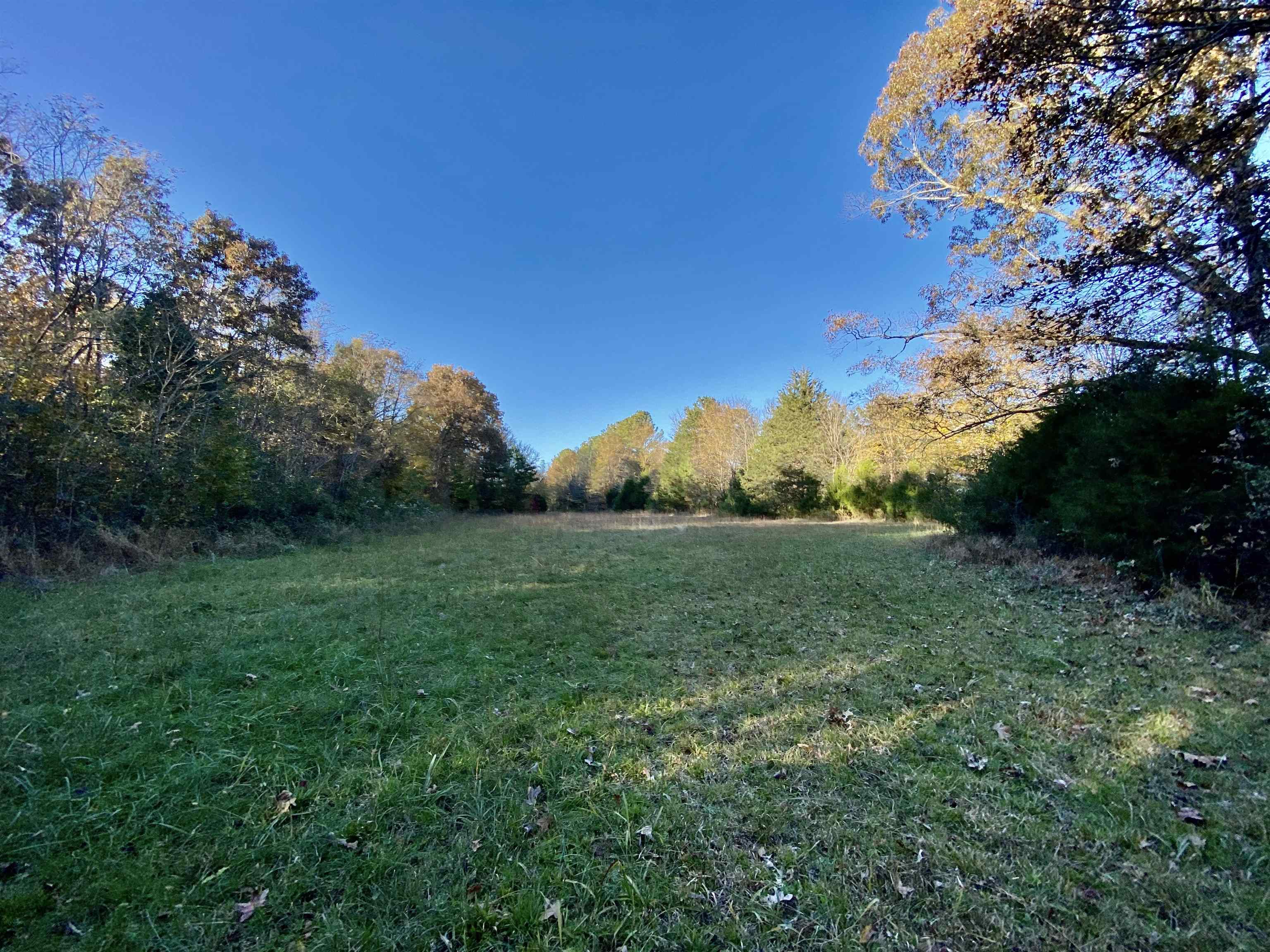 15 Price Road Moscow, TN 38057 - Photo 11 of 16 Gallery Image 11