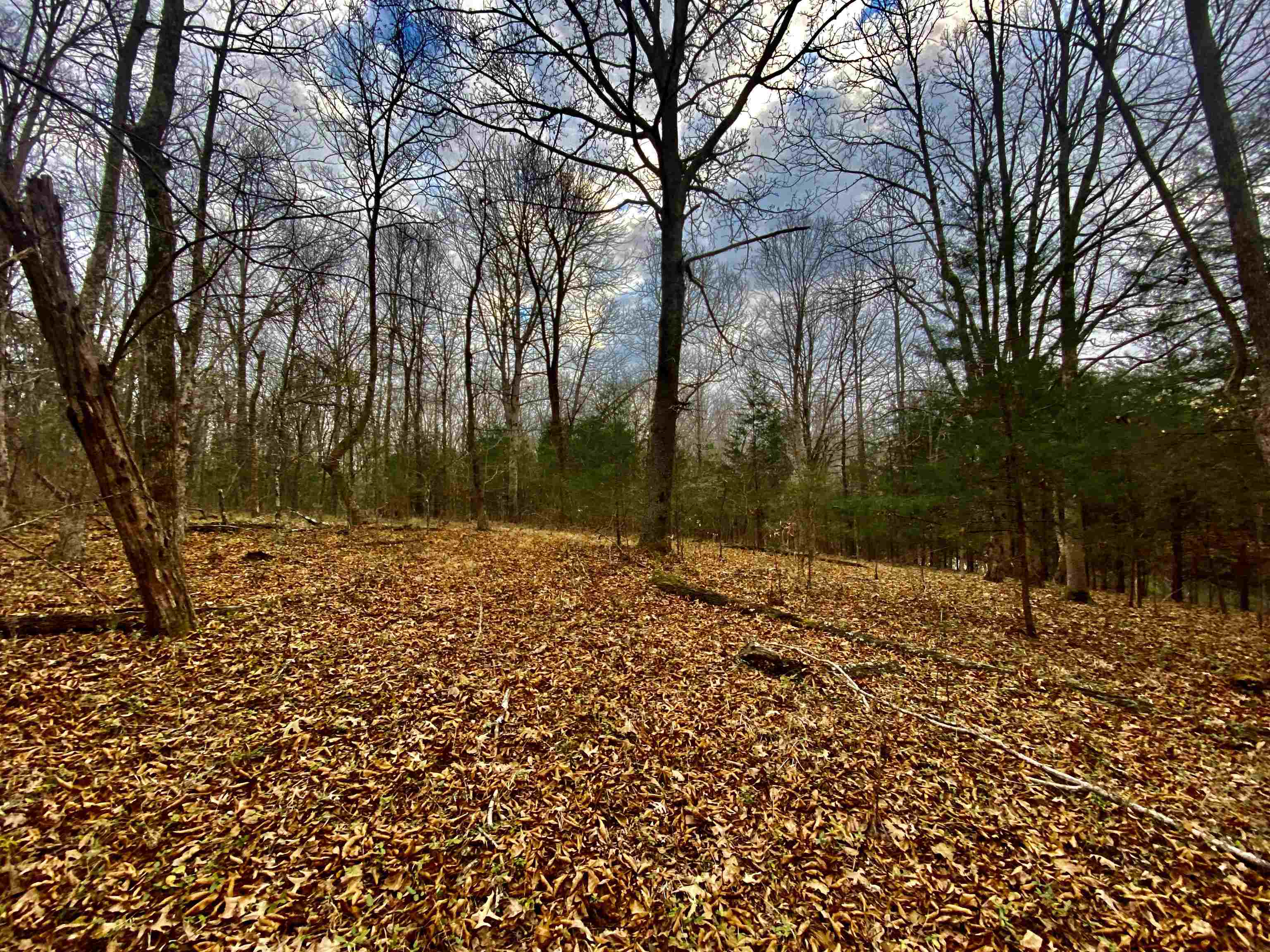 15 Price Road Moscow, TN 38057 - Photo 14 of 16 Gallery Image 14