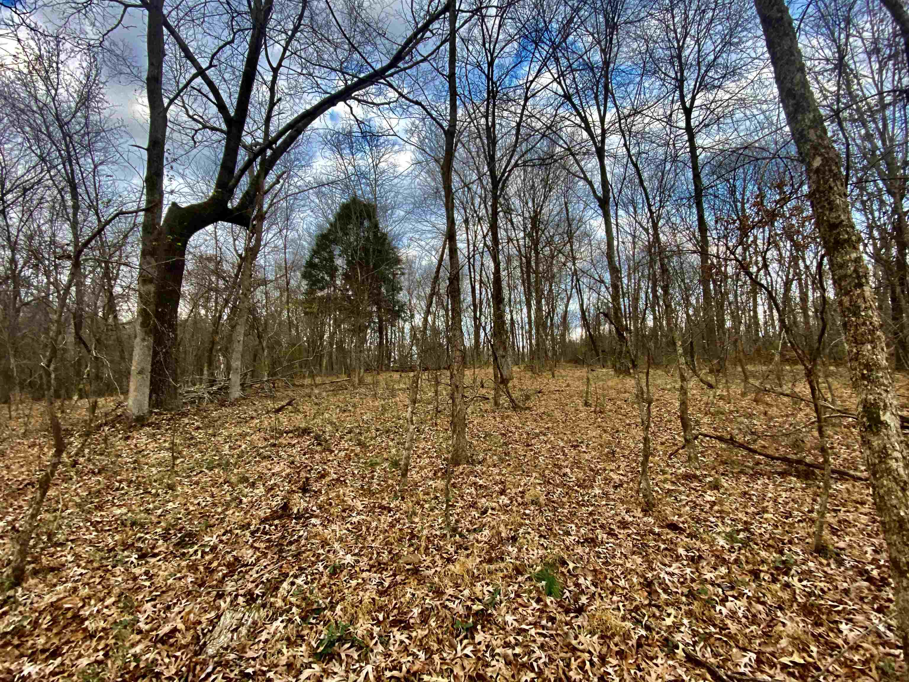 15 Price Road Moscow, TN 38057 - Photo 15 of 16 Gallery Image 15