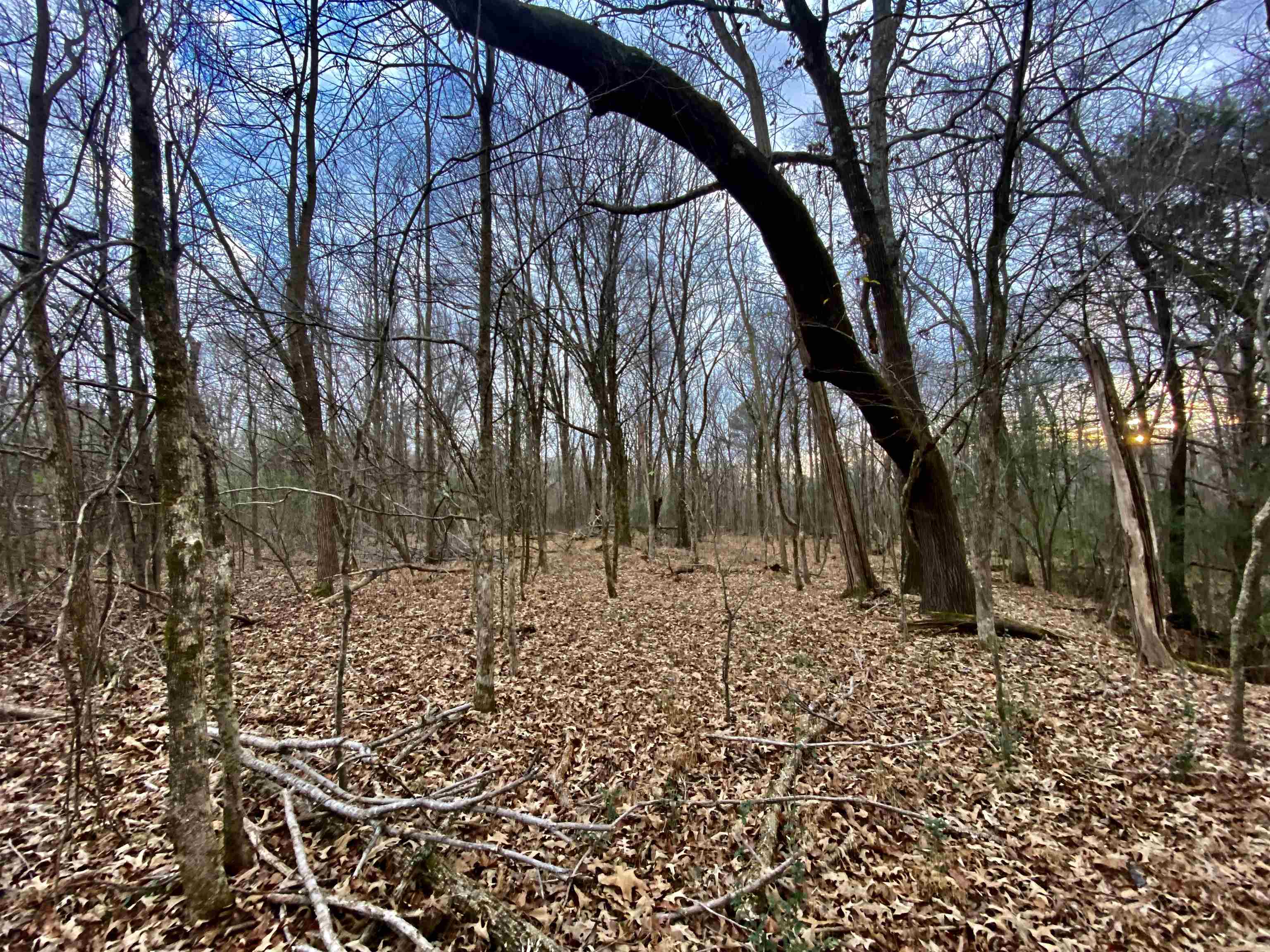 15 Price Road Moscow, TN 38057 - Photo 16 of 16 Gallery Image 16