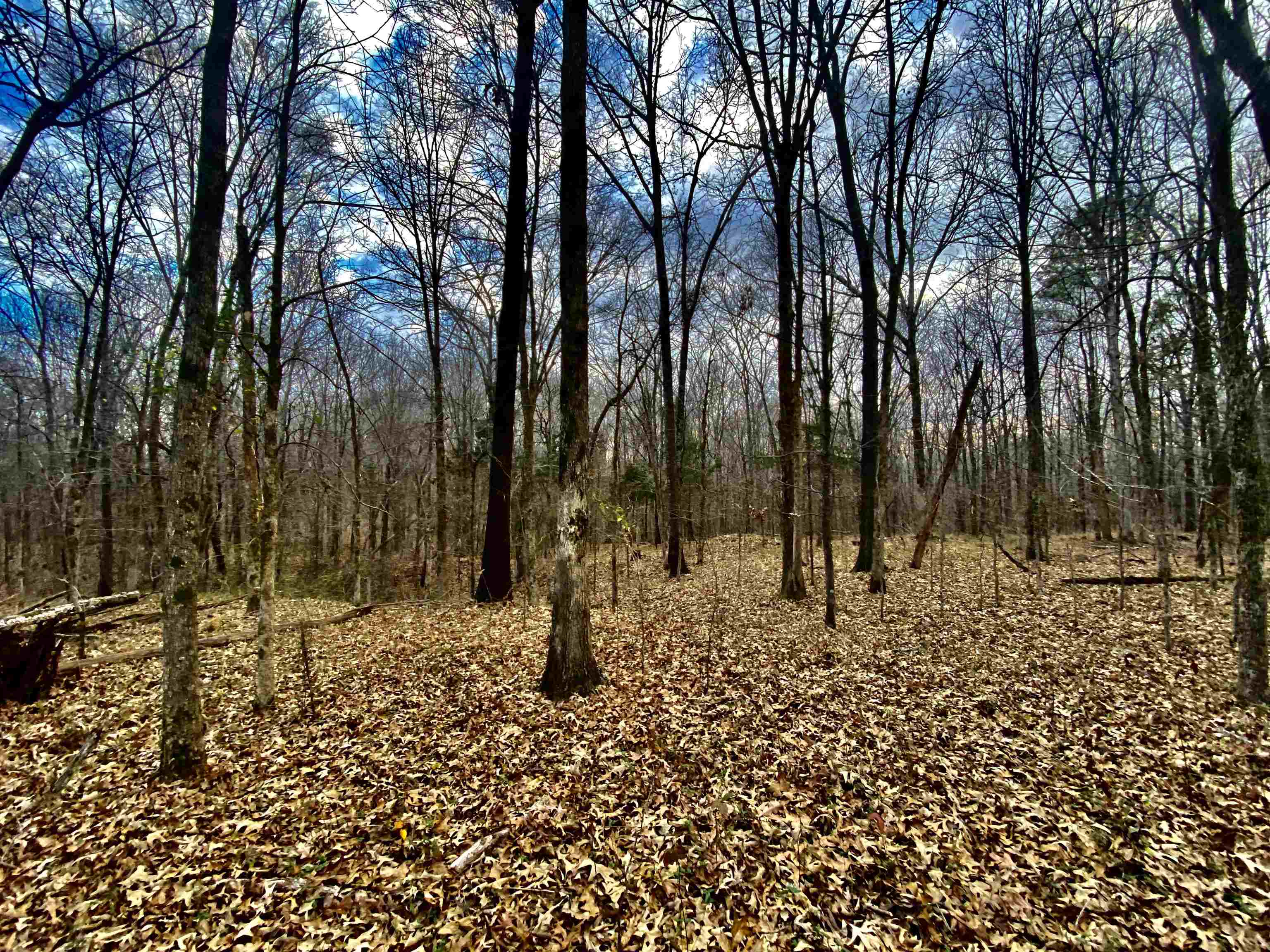 15 Price Road Moscow, TN 38057 - Photo 4 of 16 Gallery Image 4
