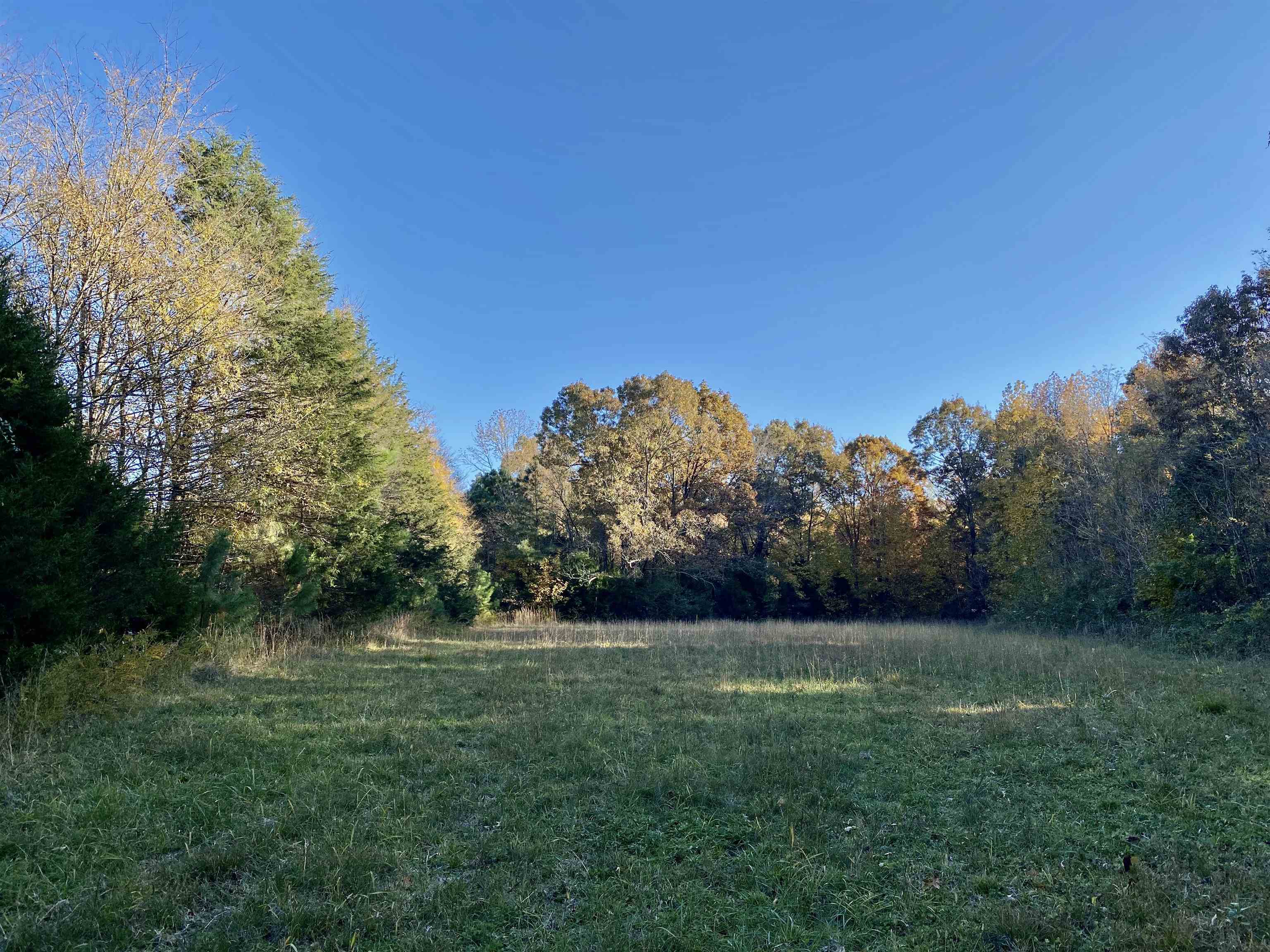 15 Price Road Moscow, TN 38057 - Photo 6 of 16 Gallery Image 6