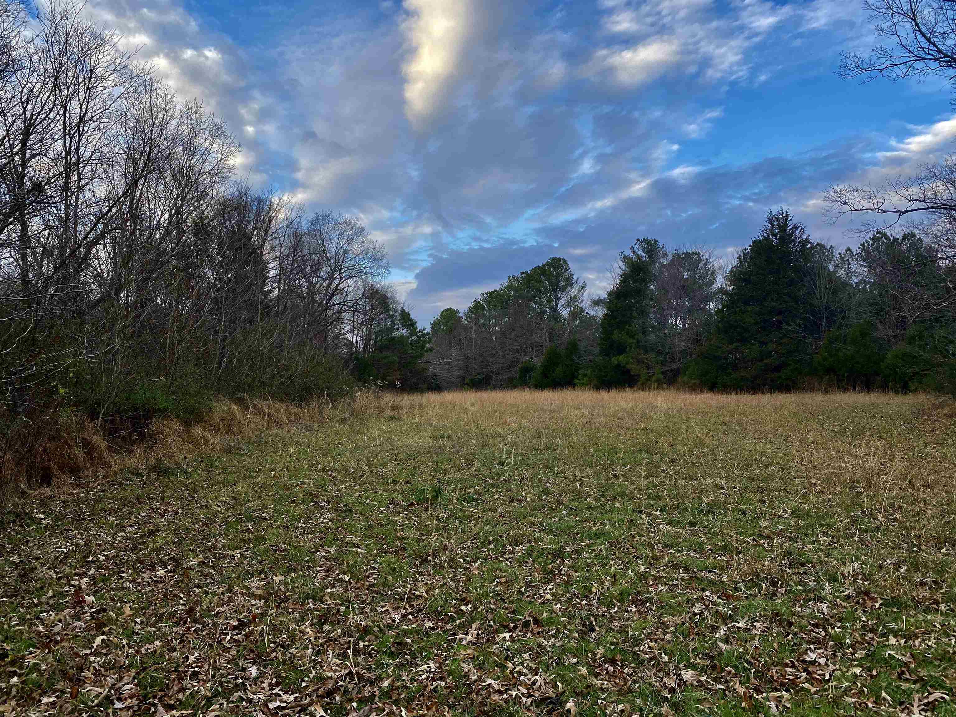 15 Price Road Moscow, TN 38057 - Photo 7 of 16 Gallery Image 7