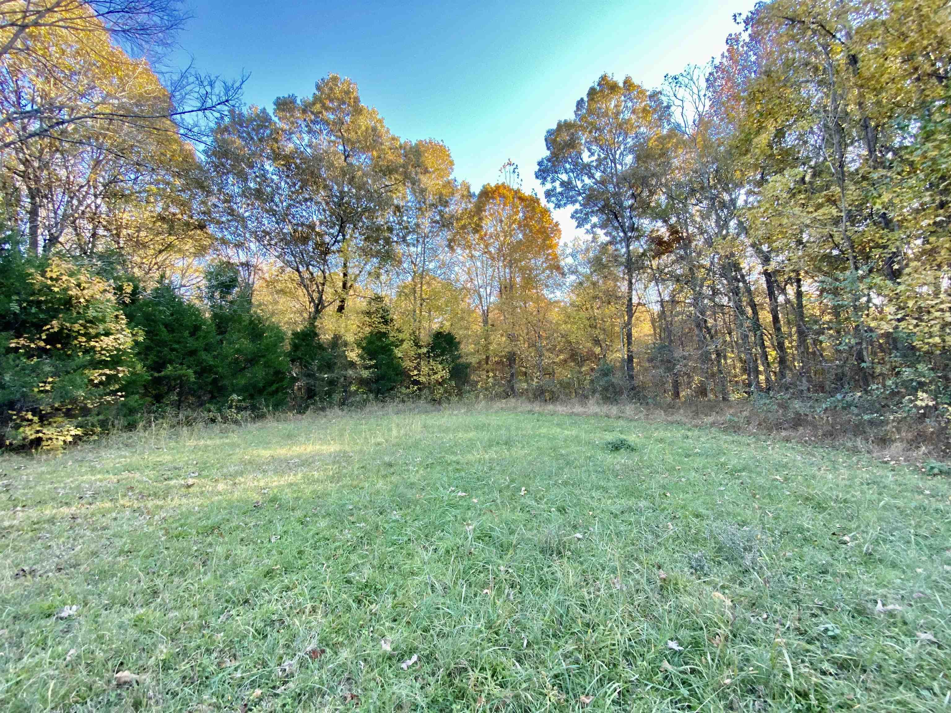 15 Price Road Moscow, TN 38057 - Photo 8 of 16 Gallery Image 8
