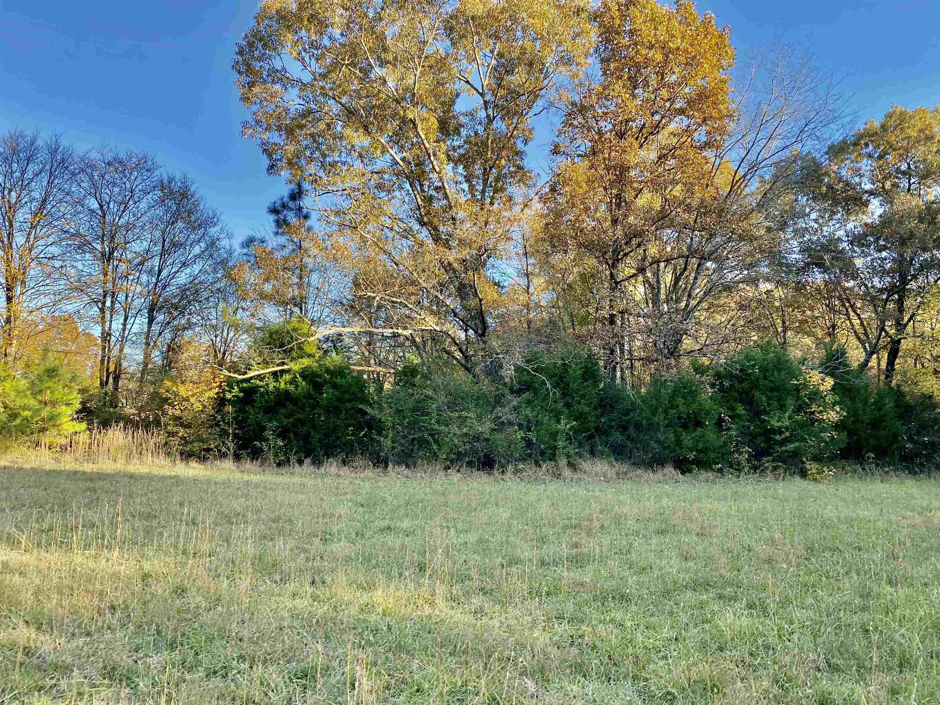 15 Price Road Moscow, TN 38057 - Photo 9 of 16 Gallery Image 9