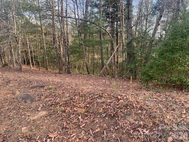1.0-ac Holbert Cove Road, Unit 2 Saluda, NC 28773 - Photo 2 of 7