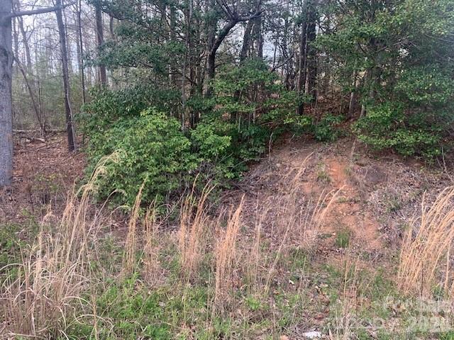 1.0-ac Holbert Cove Road, Unit 2 Saluda, NC 28773 - Photo 3 of 7