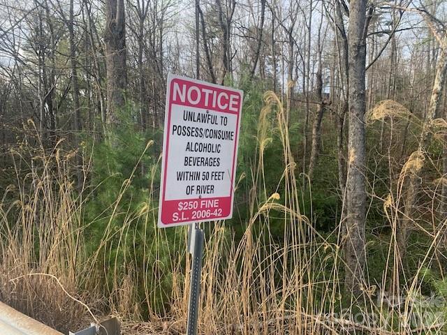 1.0-ac Holbert Cove Road, Unit 2 Saluda, NC 28773 - Photo 4 of 7