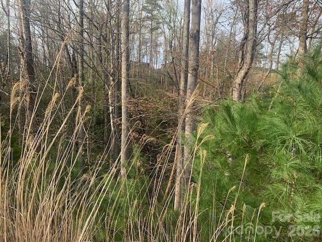 1.0-ac Holbert Cove Road, Unit 2 Saluda, NC 28773 - Photo 6 of 7