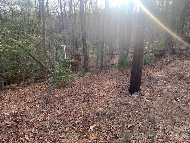 1.0-ac Holbert Cove Road, Unit 2 Saluda, NC 28773 - Photo 7 of 7