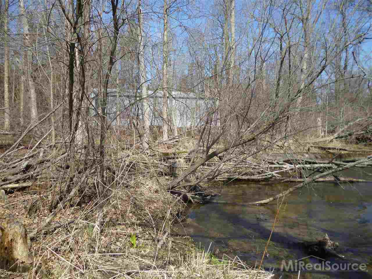 0 Campground Road Romeo, MI 48065 - Photo 10 of 19 31187913-9.JPG
