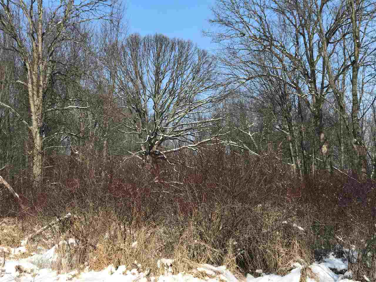Brown Road Reading, MI 49274 - Photo 18 of 30 Gallery Image 18