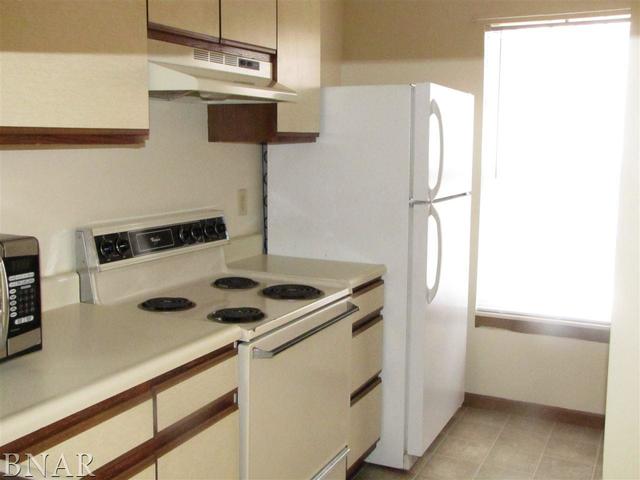 700 North Adelaide Street, Unit 124 Normal, IL 61761 - Photo 4 of 15