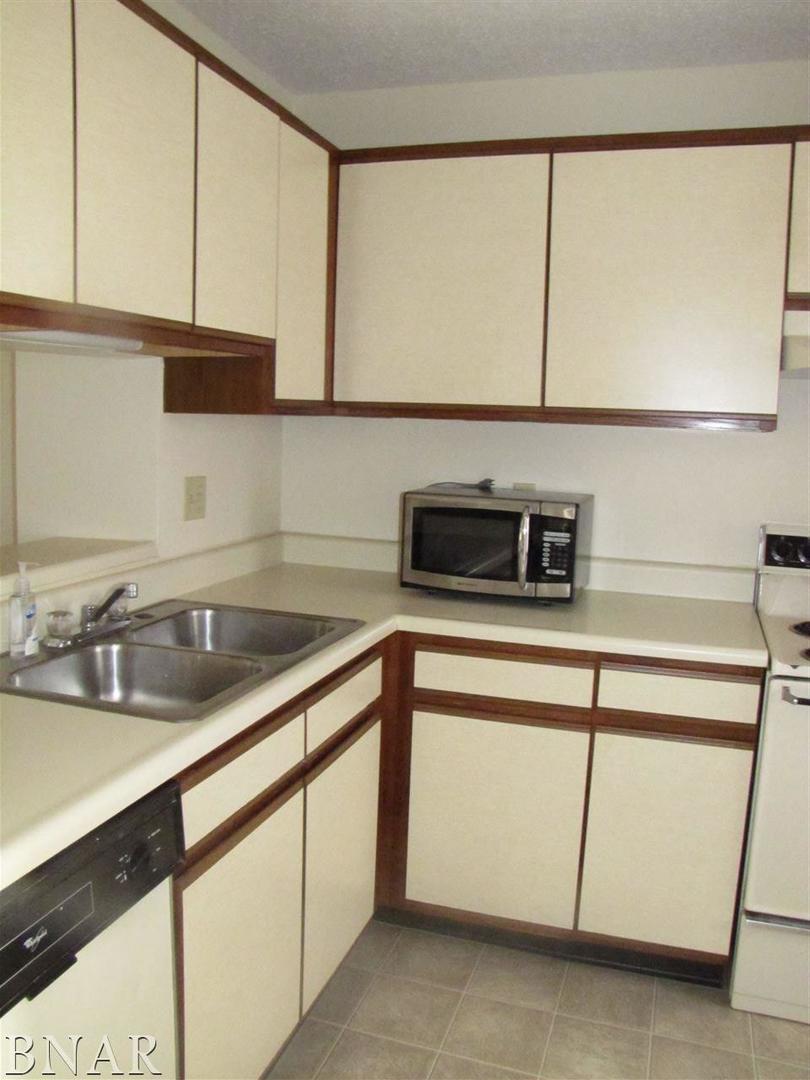 700 North Adelaide Street, Unit 124 Normal, IL 61761 - Photo 5 of 15