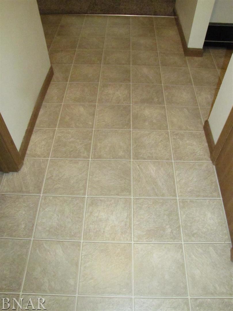 700 North Adelaide Street, Unit 124 Normal, IL 61761 - Photo 6 of 15
