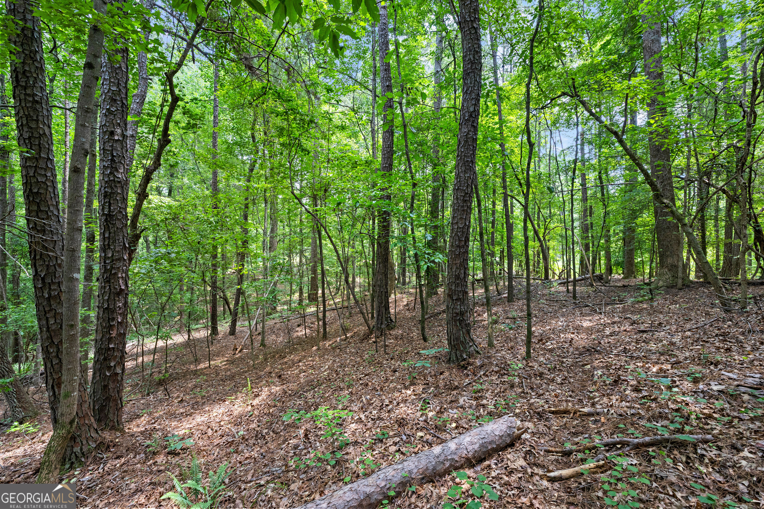 0 Terry Road Fairburn, GA 30213 - Photo 10 of 22