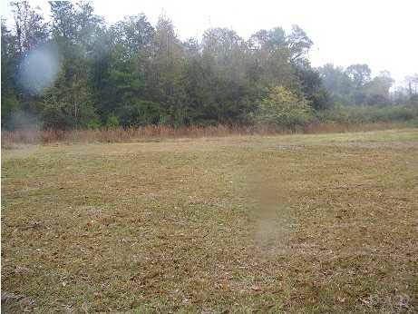 1901 Stacey Road Cantonment, FL 32533 - Photo 17 of 17