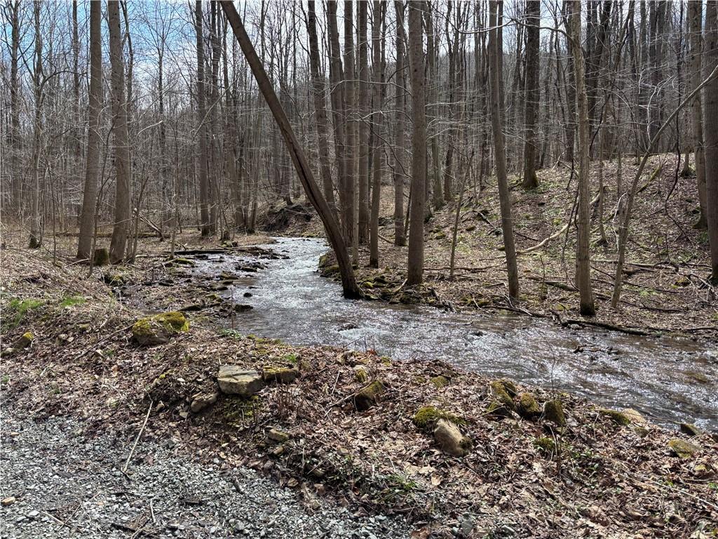 Lot 1 Neals Run Road Champion, PA 15622 - Photo 11 of 11 a view of a backyard with large trees