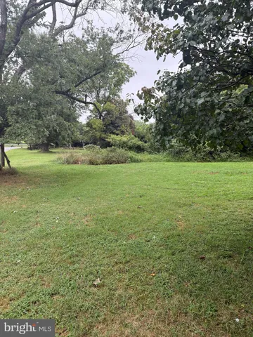 a view of a field with an trees