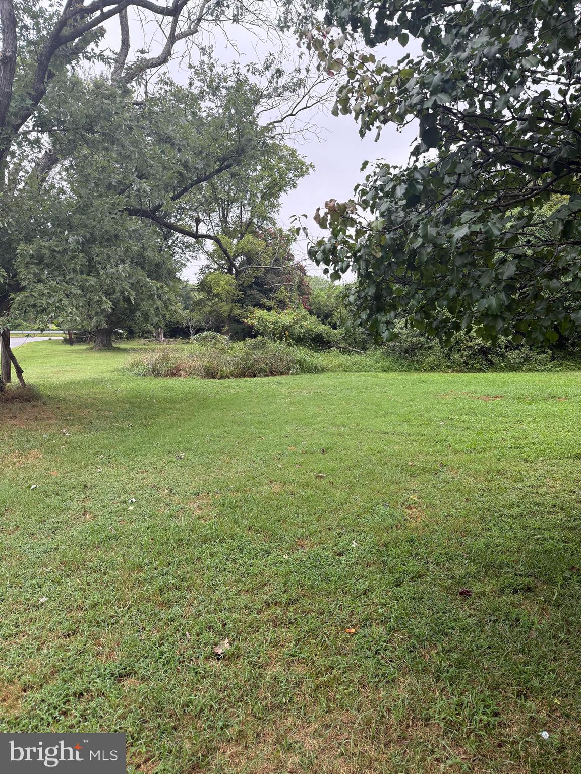 a view of a field with an trees