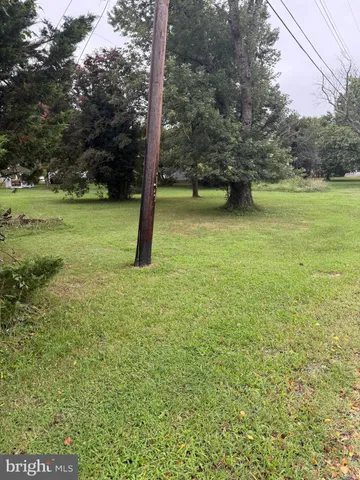 a view of a trees with yard