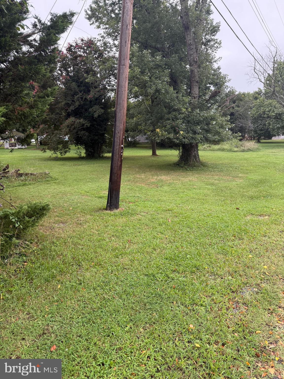 Old Branch Avenue Suitland, MD 20746 - Photo 2 of 6 a view of a trees with yard