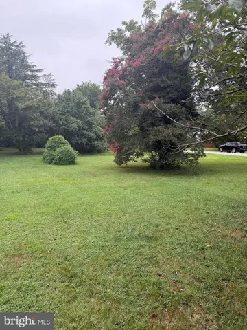 a view of a field of grass and trees