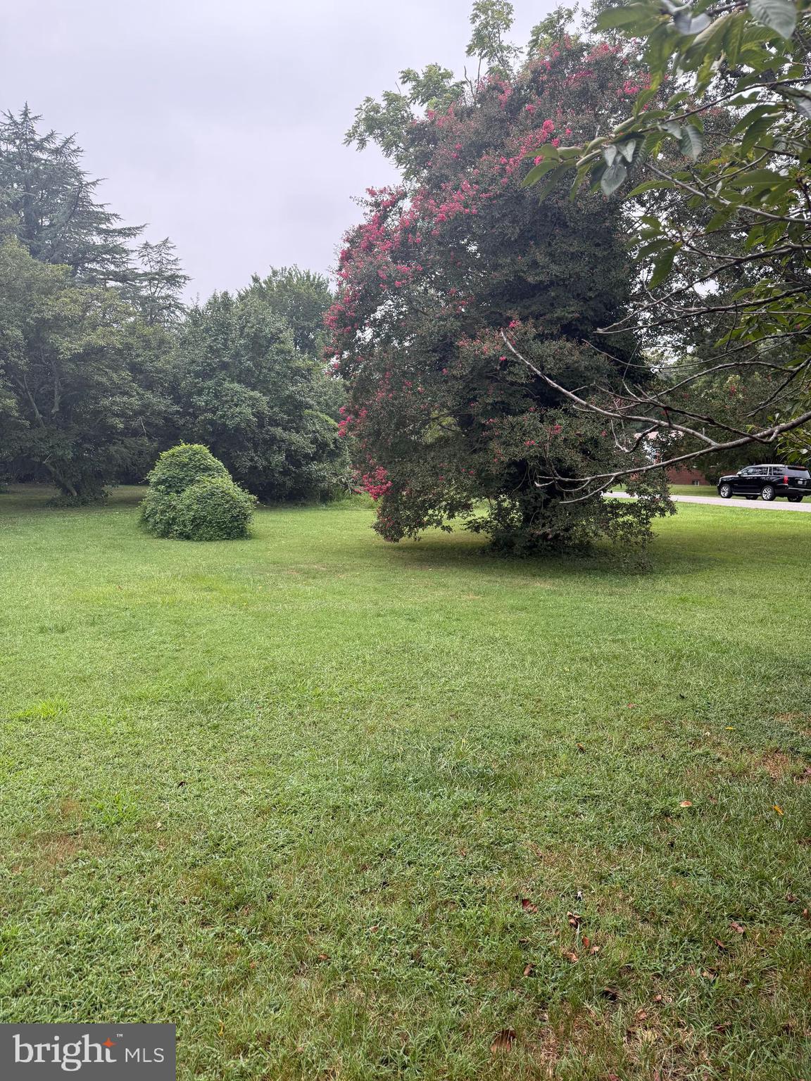 Old Branch Avenue Suitland, MD 20746 - Photo 3 of 6 a view of a field of grass and trees