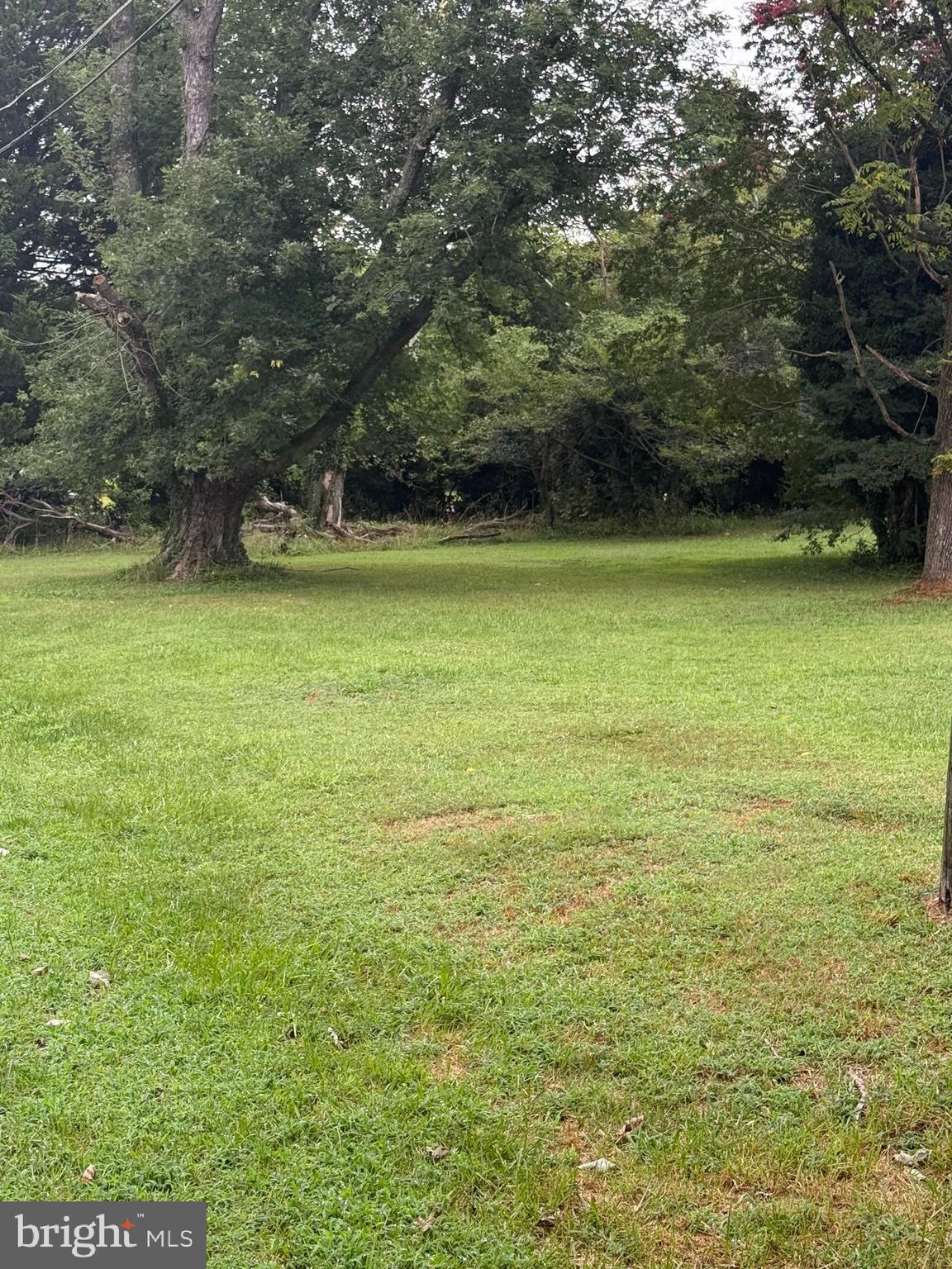 Old Branch Avenue Suitland, MD 20746 - Photo 4 of 6 a view of a green field