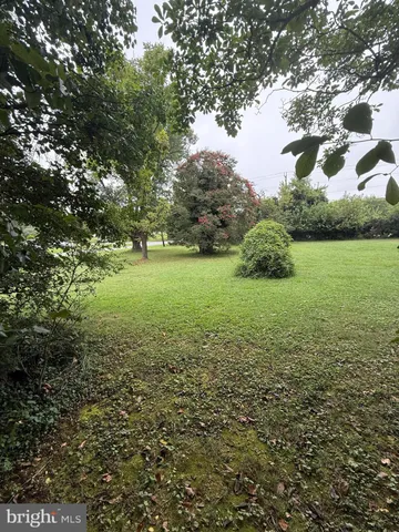 a view of a field with an trees