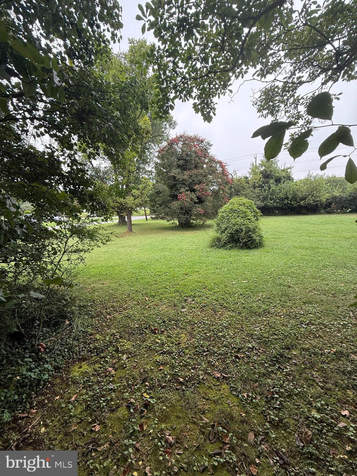 Old Branch Avenue Suitland, MD 20746 - Photo 5 of 6 a view of a field with an trees