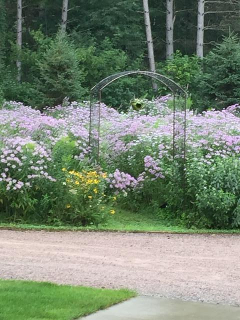 8555 15th Avenue Northwest Rice, MN 56367 - Photo 23 of 64
