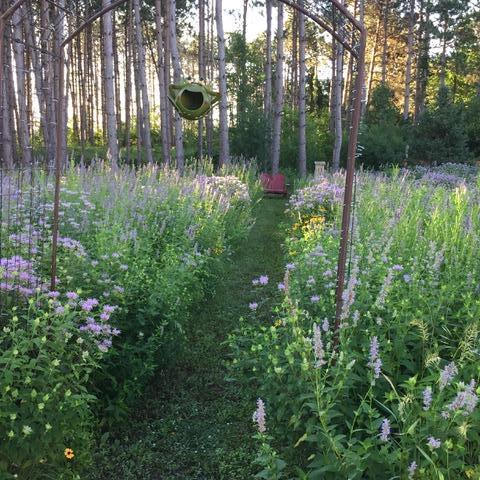 8555 15th Avenue Northwest Rice, MN 56367 - Photo 38 of 63