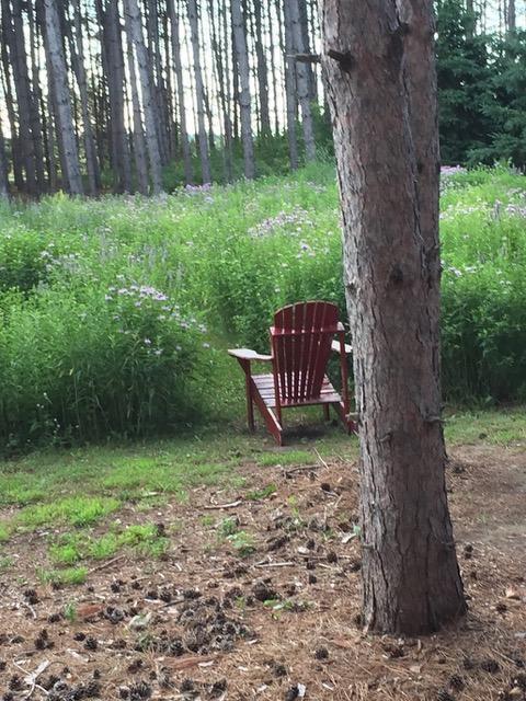 8555 15th Avenue Northwest Rice, MN 56367 - Photo 40 of 63