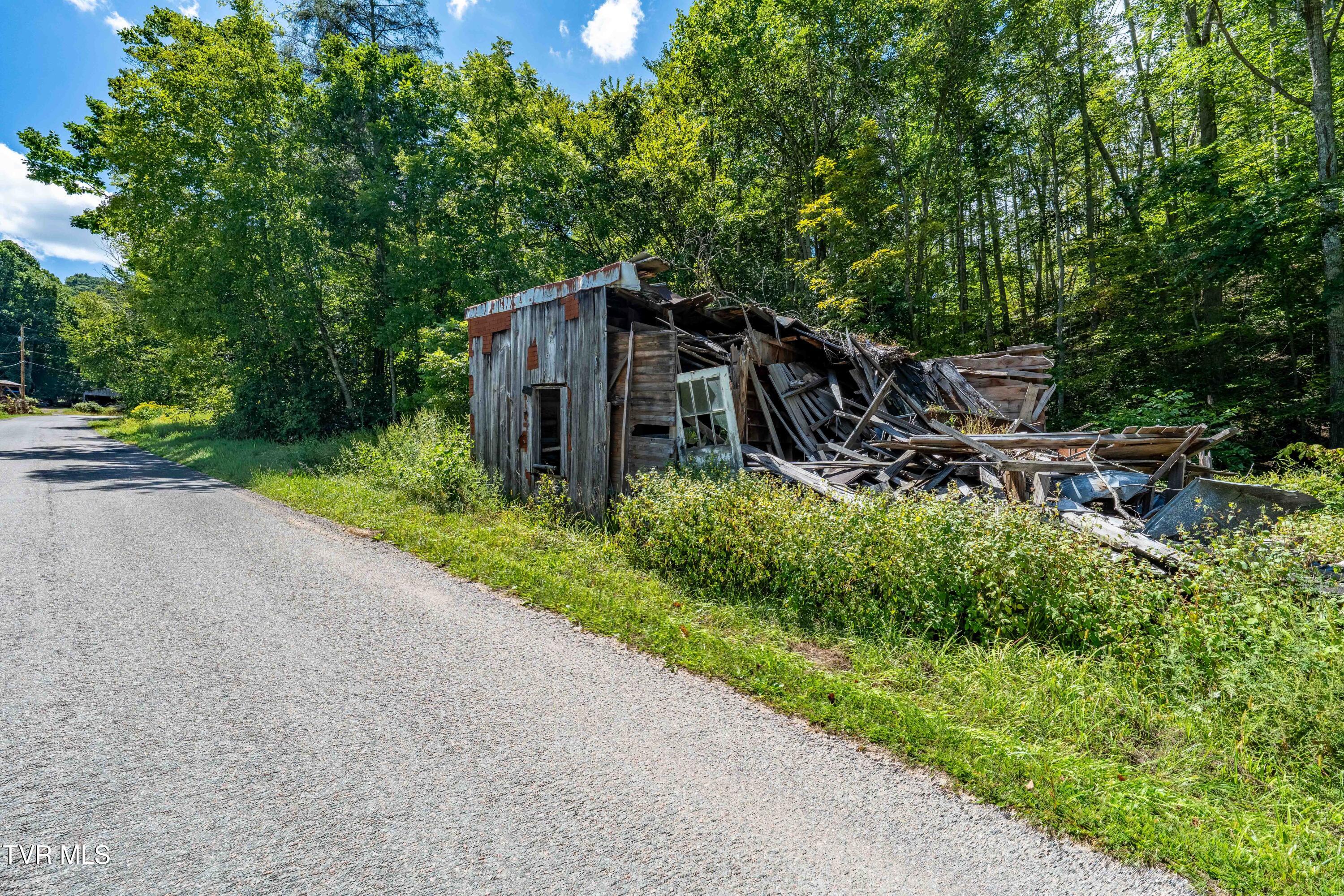 Tbd Bulldog Road Trade, TN 37691 - Photo 21 of 27 TBD Bulldog Rd (21 of 28)