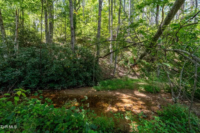 $199,900 | Tbd Bulldog Road, Trade, TN 37691