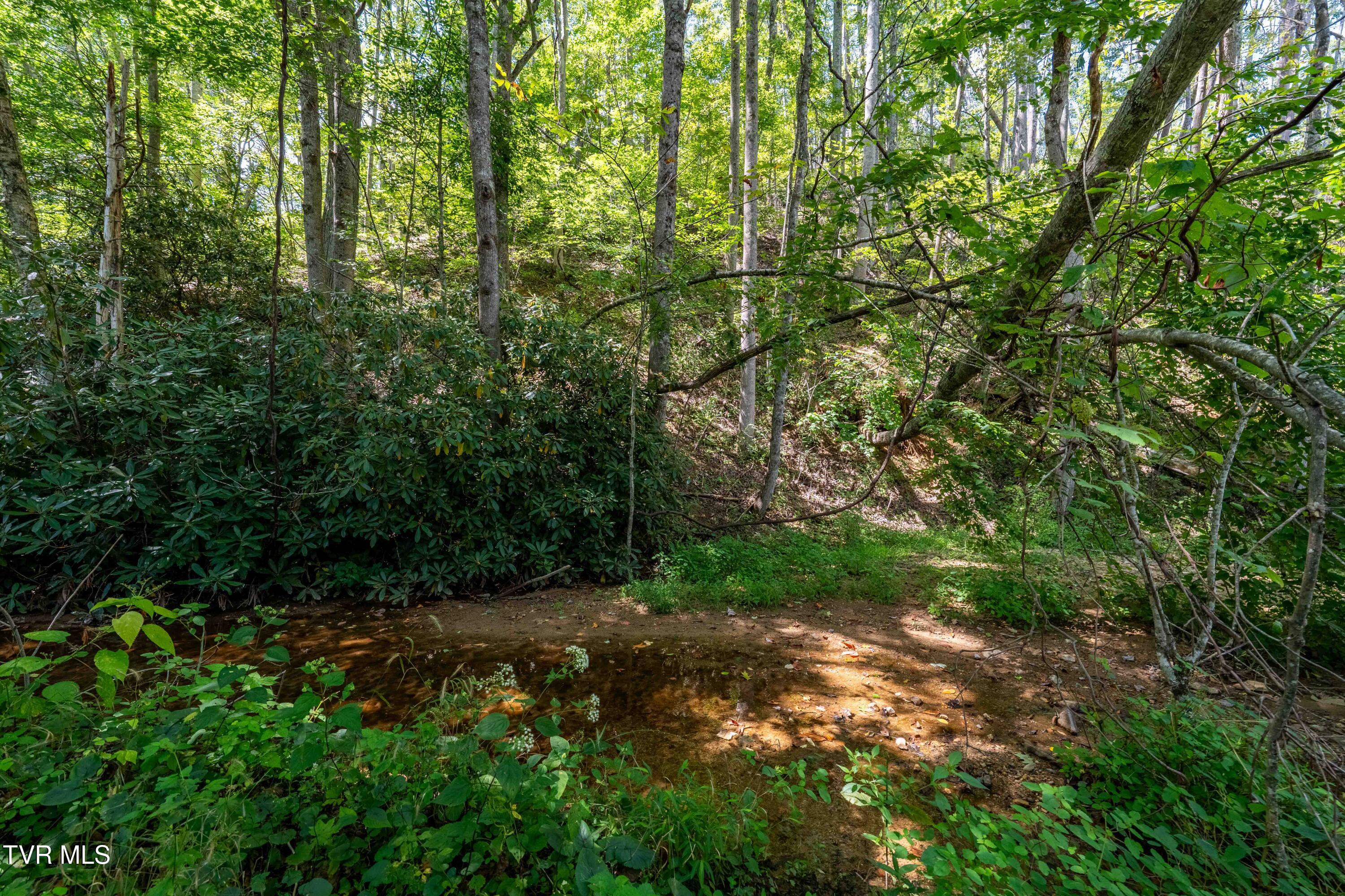 Tbd Bulldog Road Trade, TN 37691 - Photo 22 of 27 TBD Bulldog Rd (22 of 28)