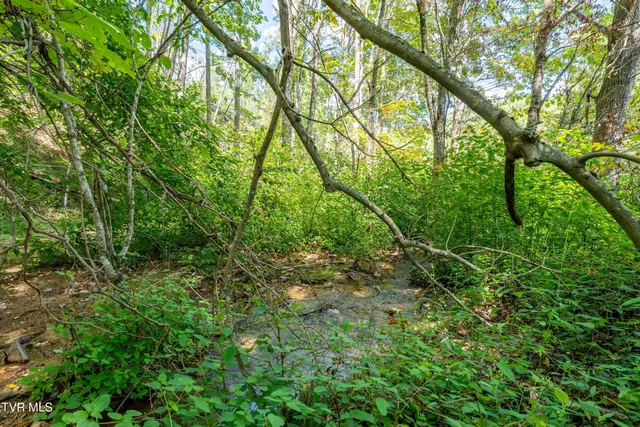 $199,900 | Tbd Bulldog Road, Trade, TN 37691