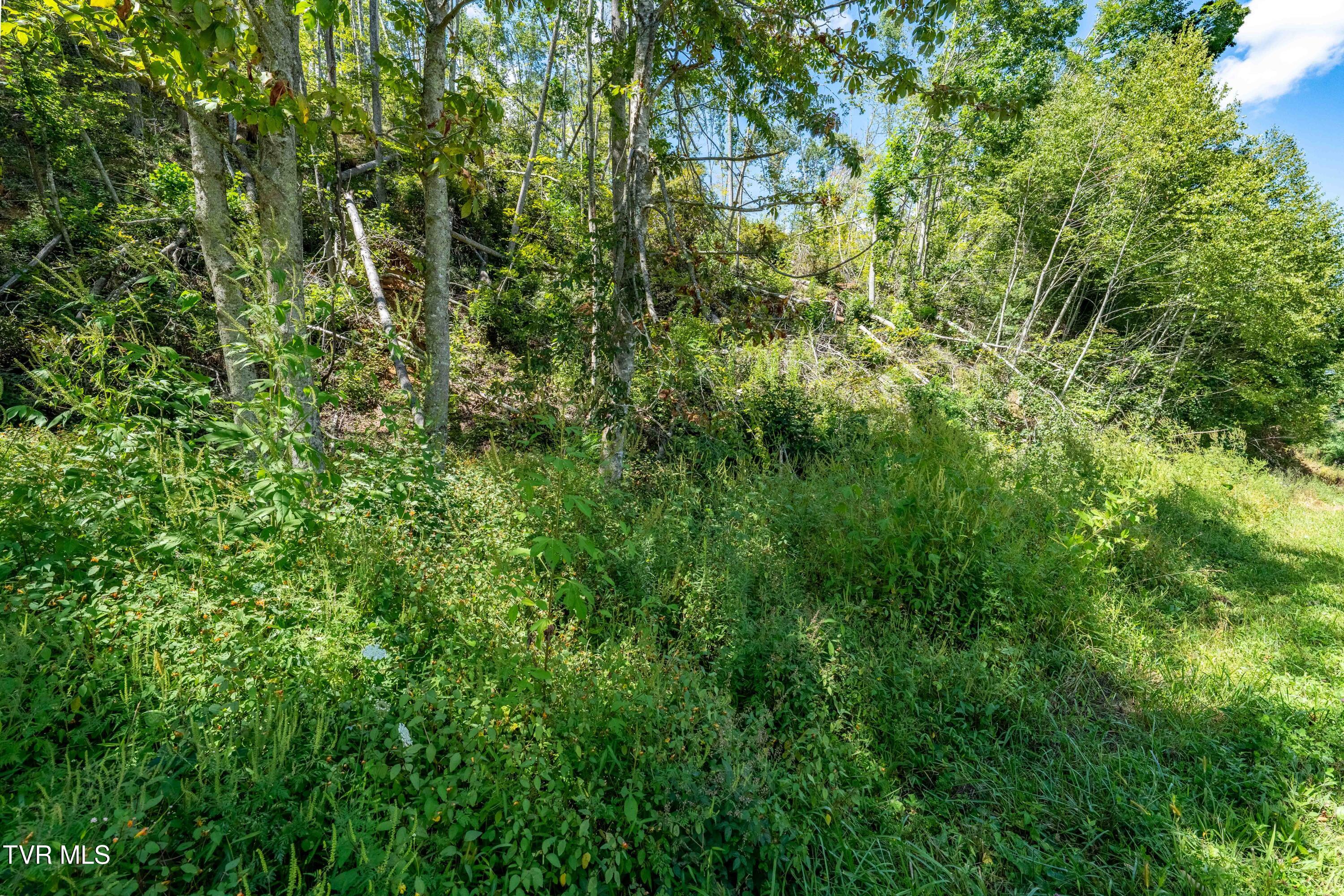 Tbd Bulldog Road Trade, TN 37691 - Photo 25 of 27 TBD Bulldog Rd (25 of 28)