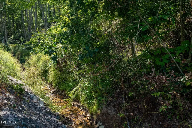 $199,900 | Tbd Bulldog Road, Trade, TN 37691