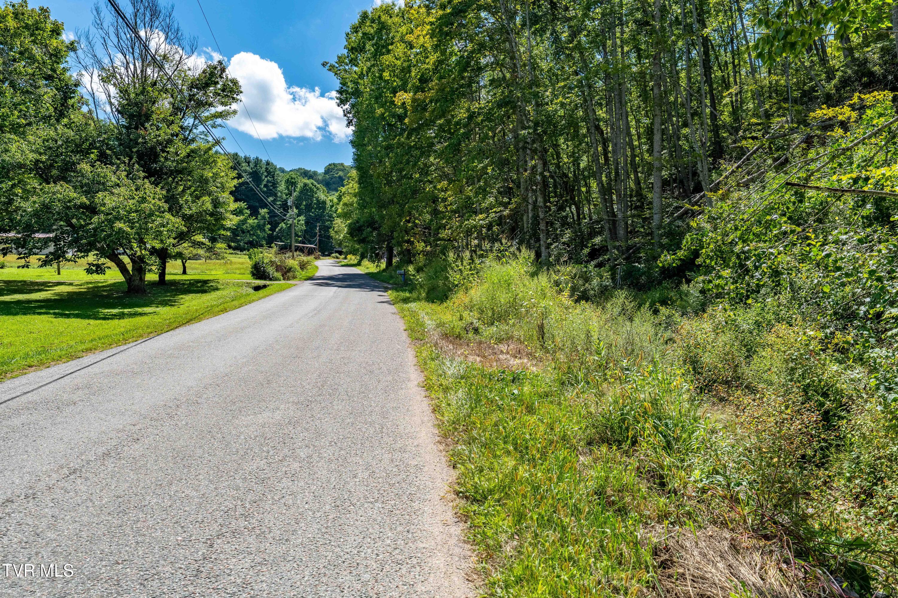 Tbd Bulldog Road Trade, TN 37691 - Photo 27 of 27 TBD Bulldog Rd (28 of 28)
