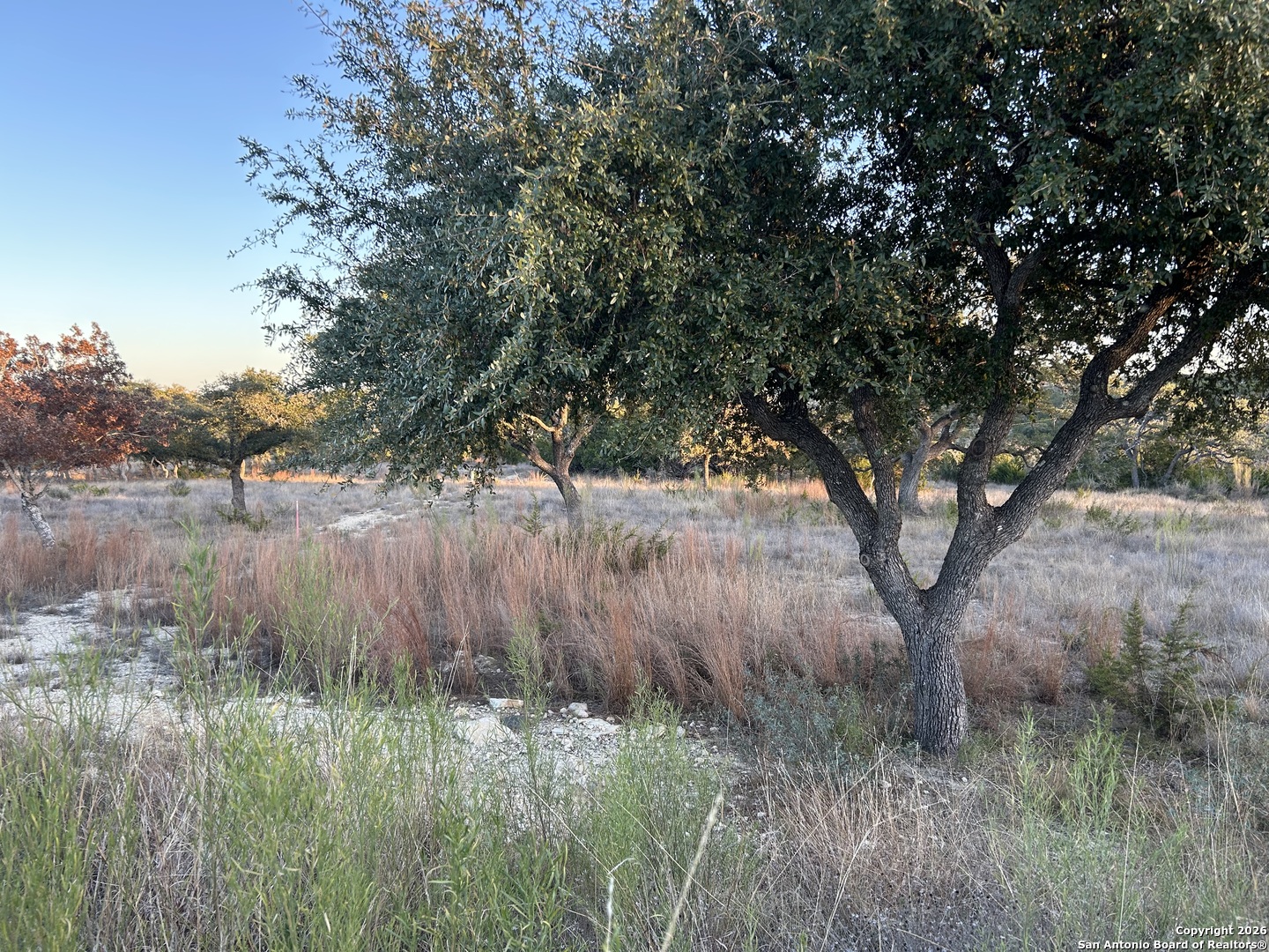 Lot 47 Ashtons Way Kerrville, TX 78028 - Photo 12 of 25 a view of a lake with a tree