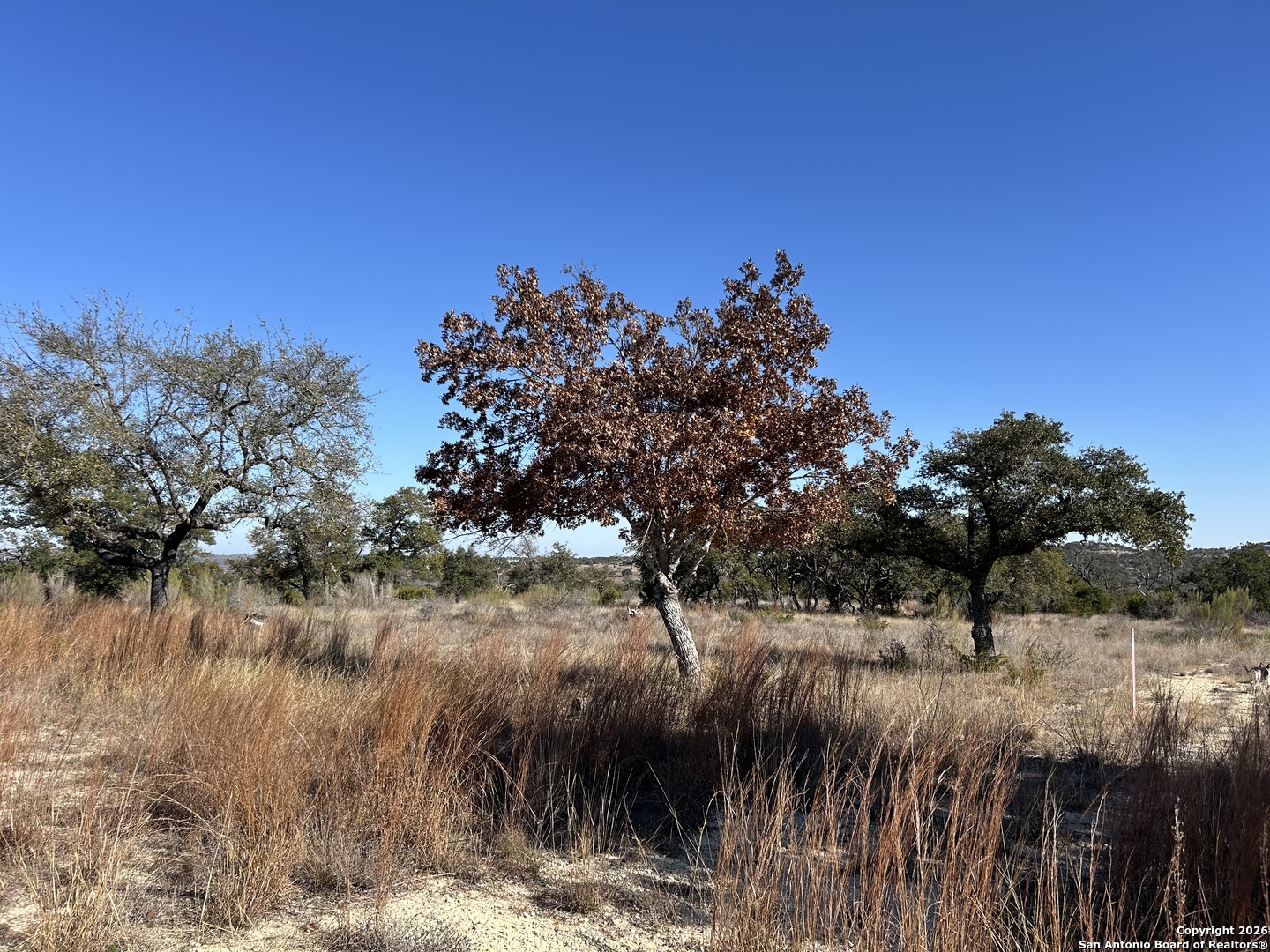 Lot 47 Ashtons Way Kerrville, TX 78028 - Photo 14 of 25 a view of river covered with trees
