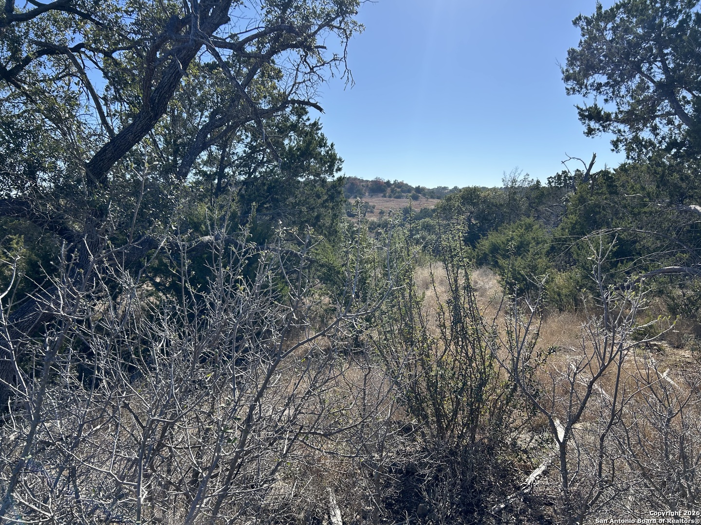 Lot 47 Ashtons Way Kerrville, TX 78028 - Photo 15 of 25 a view of a forest with a tree in the background